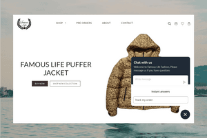 Live Chat Support-Shopify Development-Famous Life