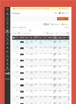 Product Catalogue Management - Magento Development - Gold Teeth USA