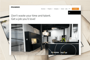 WordPress Development for Austria based Software Development - Moweex