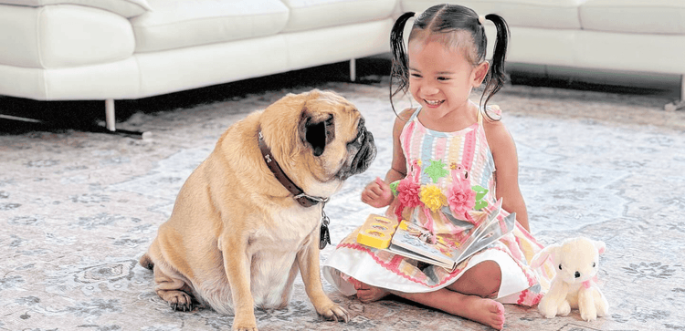 Tumbleliving - Online Retail Platform