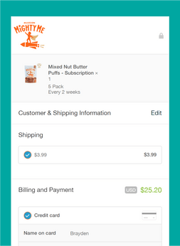 Online Payment-eCommerce Maintenance and Support-Mission Mighty Me
